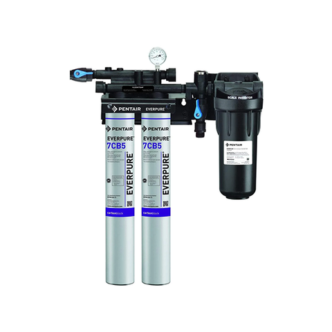 Pentair Everpure Kleensteam II Twin Water Filter System EV979722