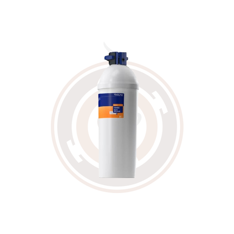 Vivreau Purity Steam C1100 ADVANCED Filter - 1054242