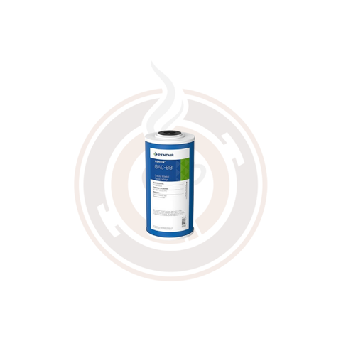 Pentek GAC big blue 10" cartridge (8 pack) - 15515343