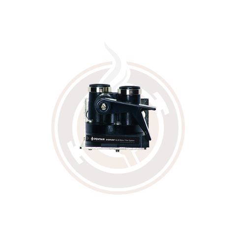 Everpure QL3B Head 3/8" NPT EV925924