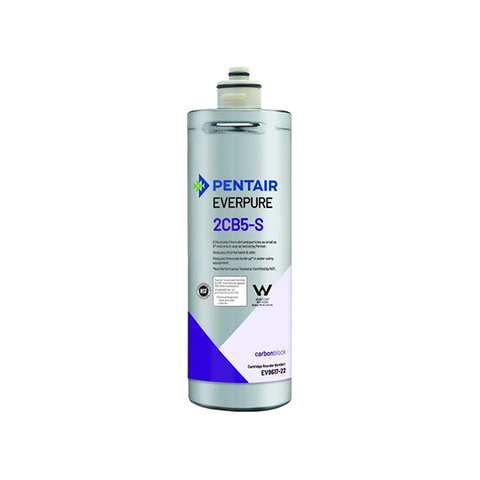 Everpure 2CB5-S Cartridge EV9617-22