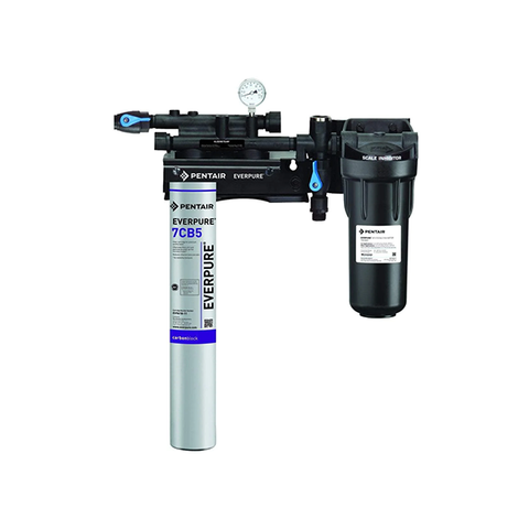 Pentair Everpure Kleensteam II Single Water Filter EV9797-21