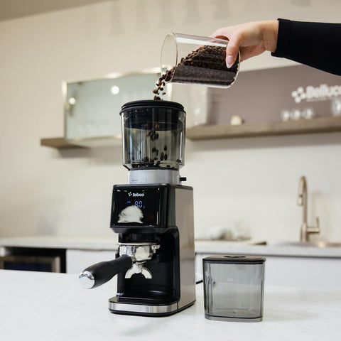 Bellucci Casa Coffee Grinder