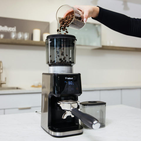 Bellucci Casa Coffee Grinder